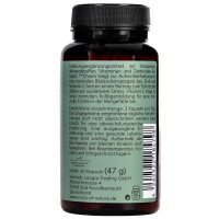 ROOTS OF NATURE Blutzucker Komplex Vitalpilz-Komplex Kapseln (60 Stk.) – Maitake, Pleurotus, Vitamine, Pflanzliches Nahrungsergänzungsmittel
