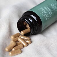 ROOTS OF NATURE Gedächtnis Komplex Vitalpilz-Komplex Kapseln (60 Stk.) –  Cordyceps, Hericium, Chaga, Ginseng, Ginko, Vitamine, pflanzliches Nahrungsergänzungsmittel, vegan