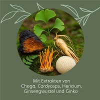 ROOTS OF NATURE Gedächtnis Komplex Vitalpilz-Komplex Kapseln (60 Stk.) –  Cordyceps, Hericium, Chaga, Ginseng, Ginko, Vitamine, pflanzliches Nahrungsergänzungsmittel, vegan