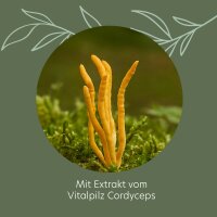 ROOTS OF NATURE Cordyceps Extrakt Kapseln (60 Stk.) – Cordyceps, Vitamin C, pflanzliches Nahrungsergänzungsmittel, vegan