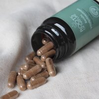 ROOTS OF NATURE Reishi Extrakt Kapseln (60 Stk.) – Reishi, Vitamin C, pflanzliches Nahrungsergänzungsmittel, vegan