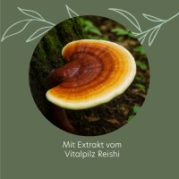 ROOTS OF NATURE Reishi Extrakt Kapseln (60 Stk.) – Reishi, Vitamin C, pflanzliches Nahrungsergänzungsmittel, vegan