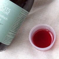 ROOTS OF NATURE Bio Isländisch Moos (200ml) –...